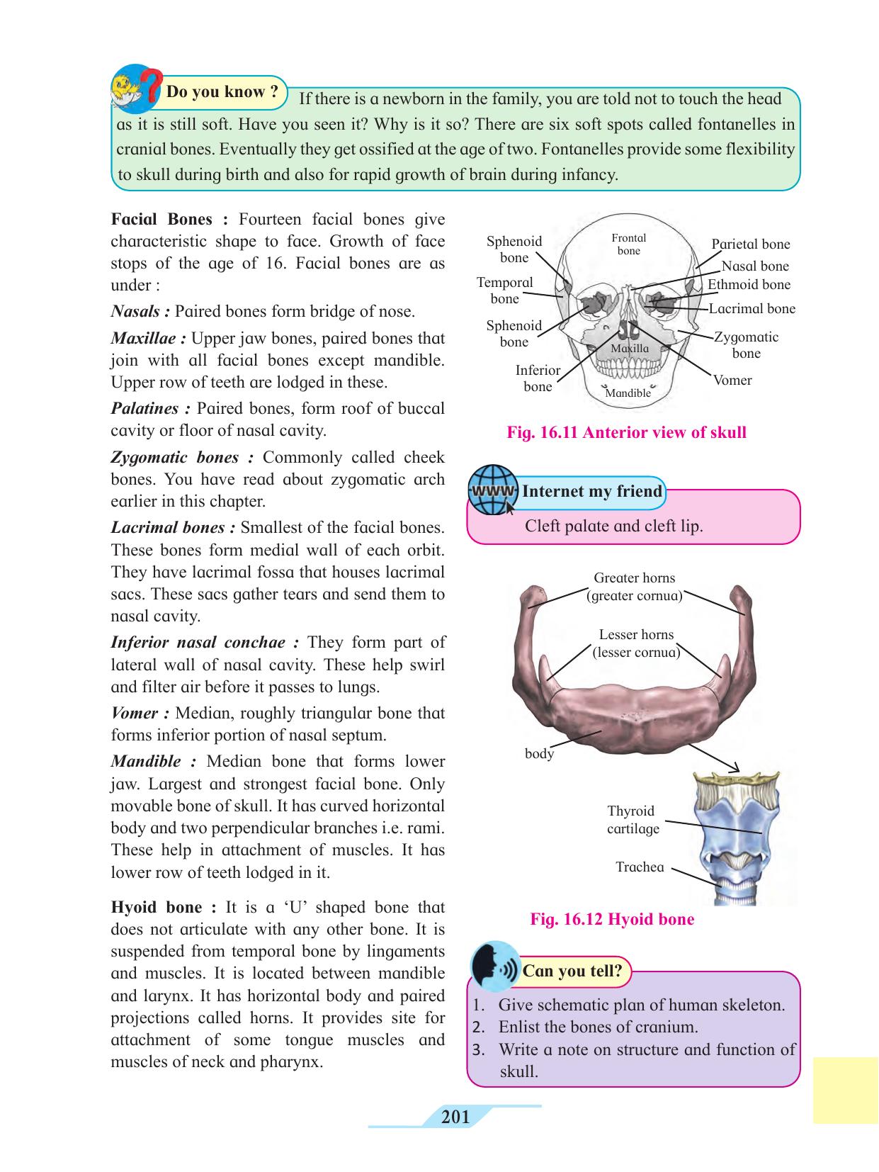Maharashtra Board Class 11 Biology Textbook - Page 211