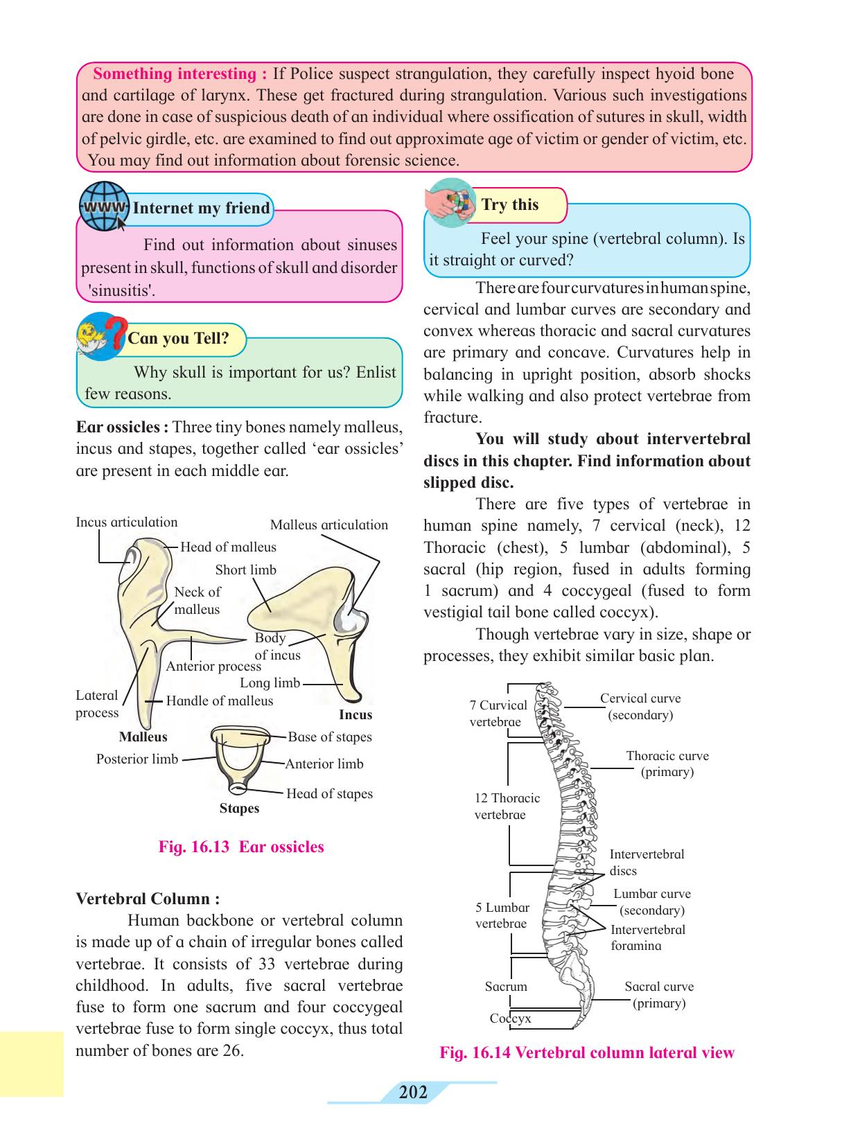 Maharashtra Board Class 11 Biology Textbook - Page 212