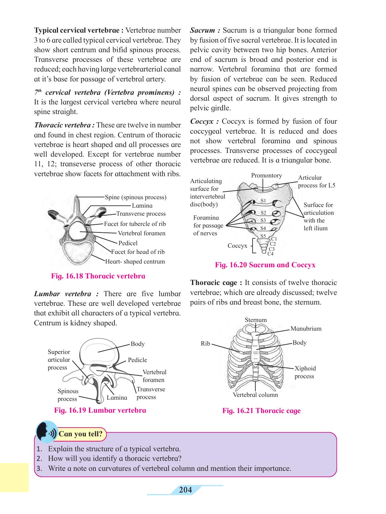Maharashtra Board Class 11 Biology Textbook - Page 214