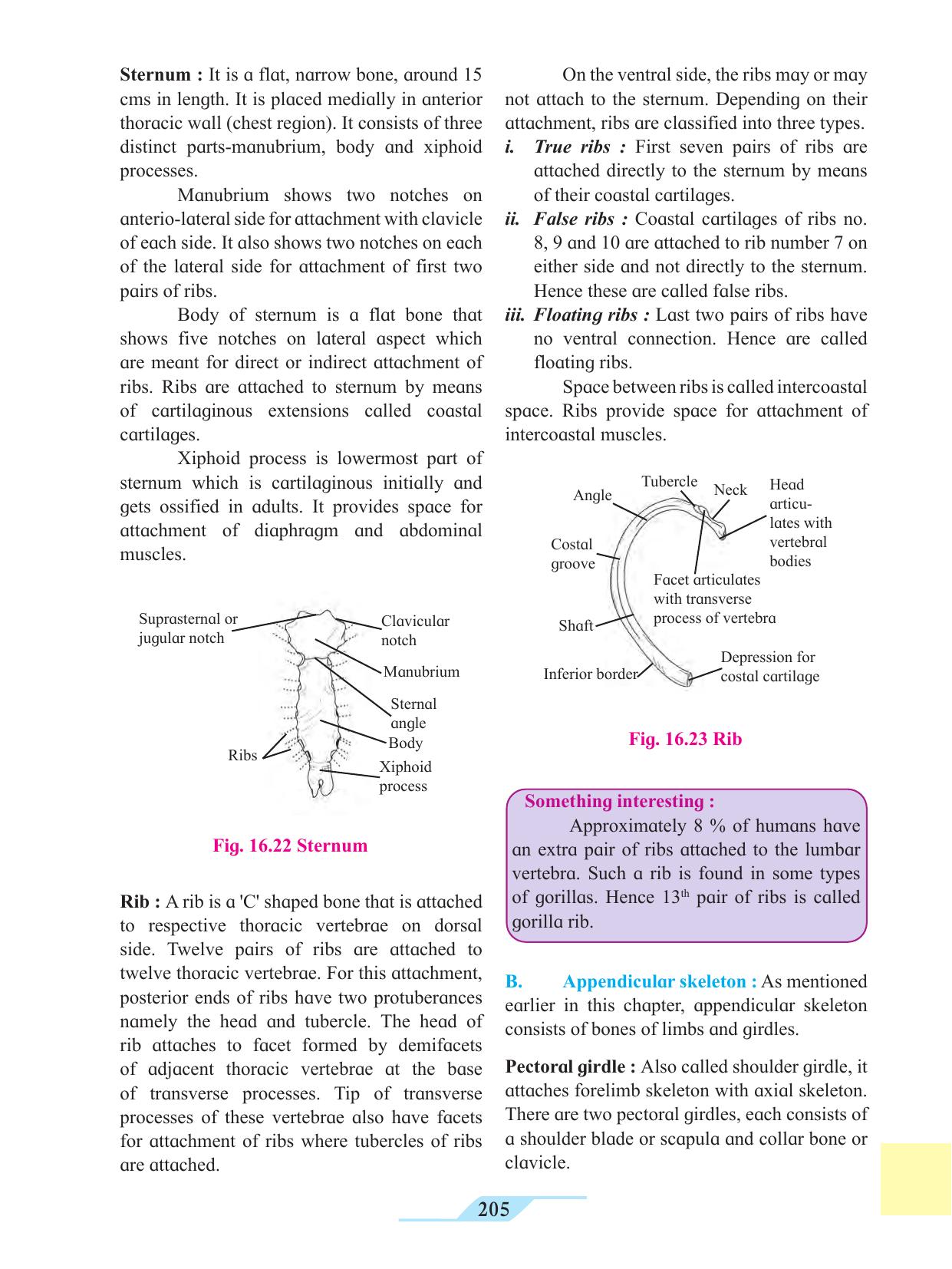 Maharashtra Board Class 11 Biology Textbook - Page 215
