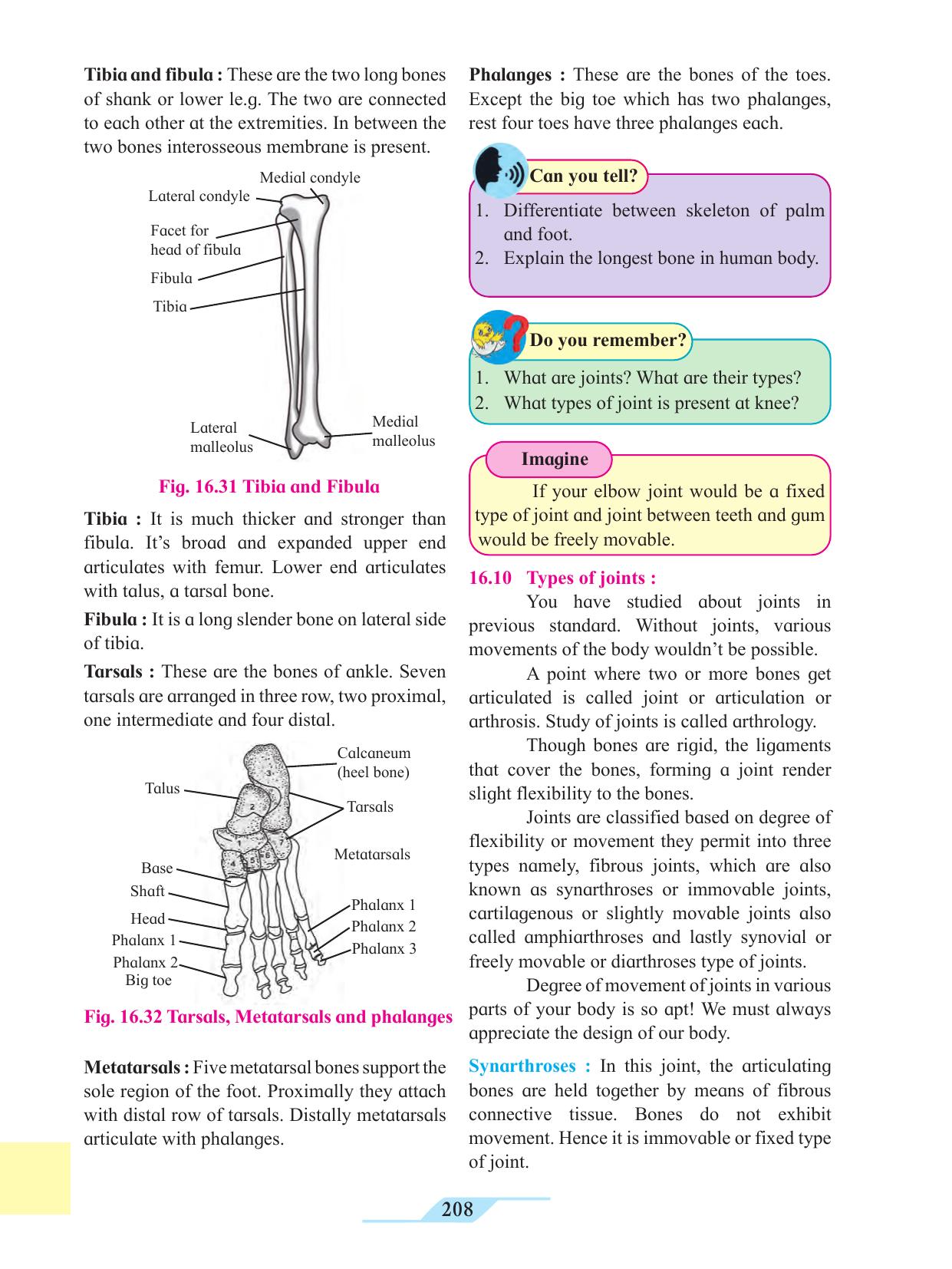 Maharashtra Board Class 11 Biology Textbook - Page 218