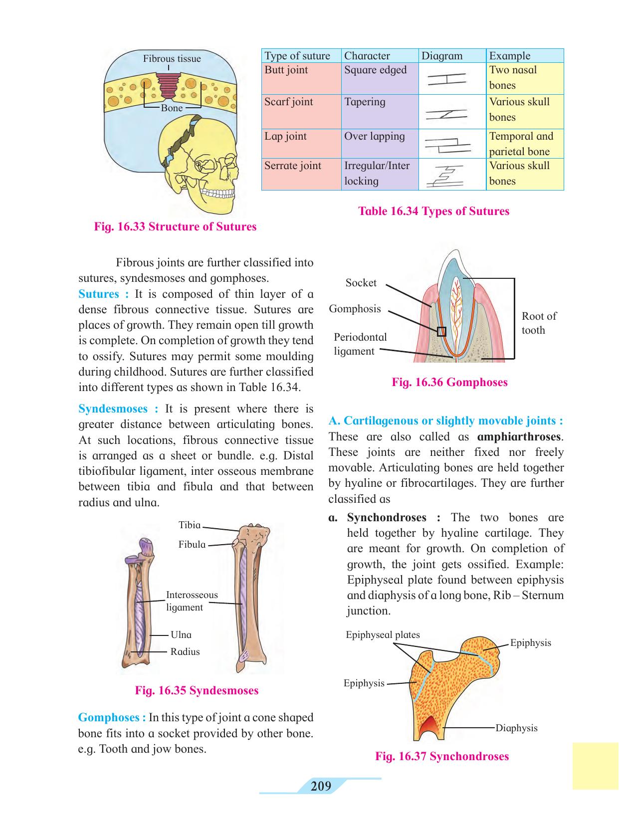 Maharashtra Board Class 11 Biology Textbook - Page 219