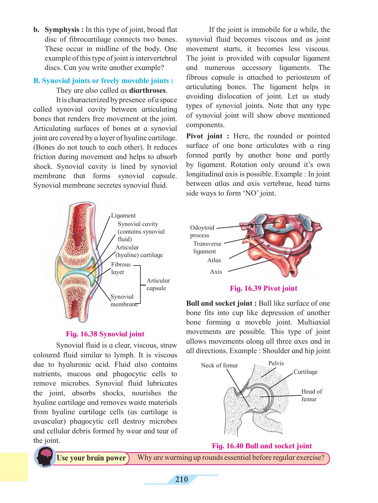 Maharashtra Board Class 11 Biology Textbook - Page 220