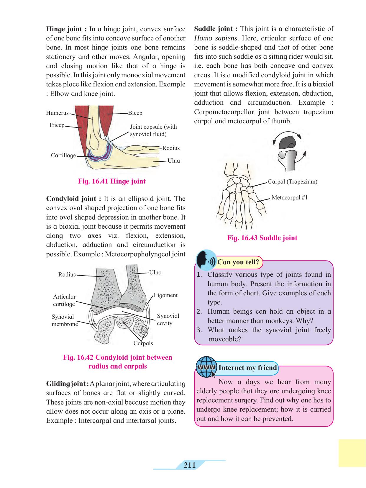Maharashtra Board Class 11 Biology Textbook - Page 221