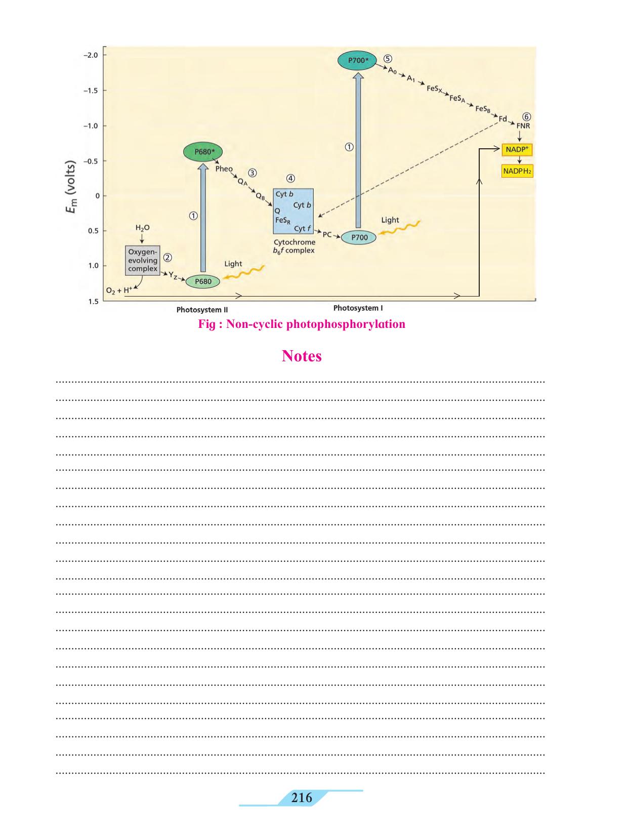 Maharashtra Board Class 11 Biology Textbook - Page 226