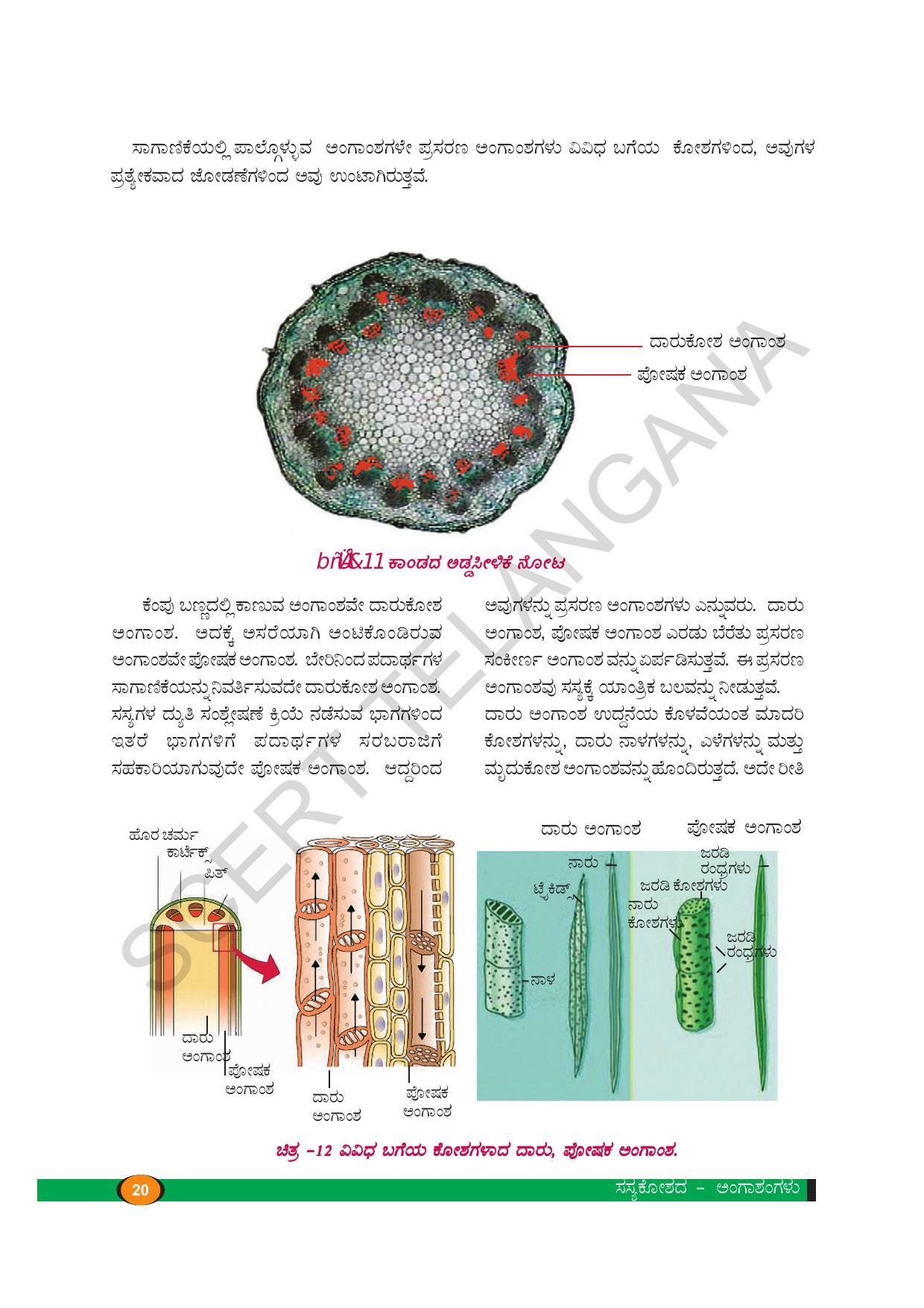 TS SCERT Class 9 Biological Science(Kannada Medium) Text Book - Page 32