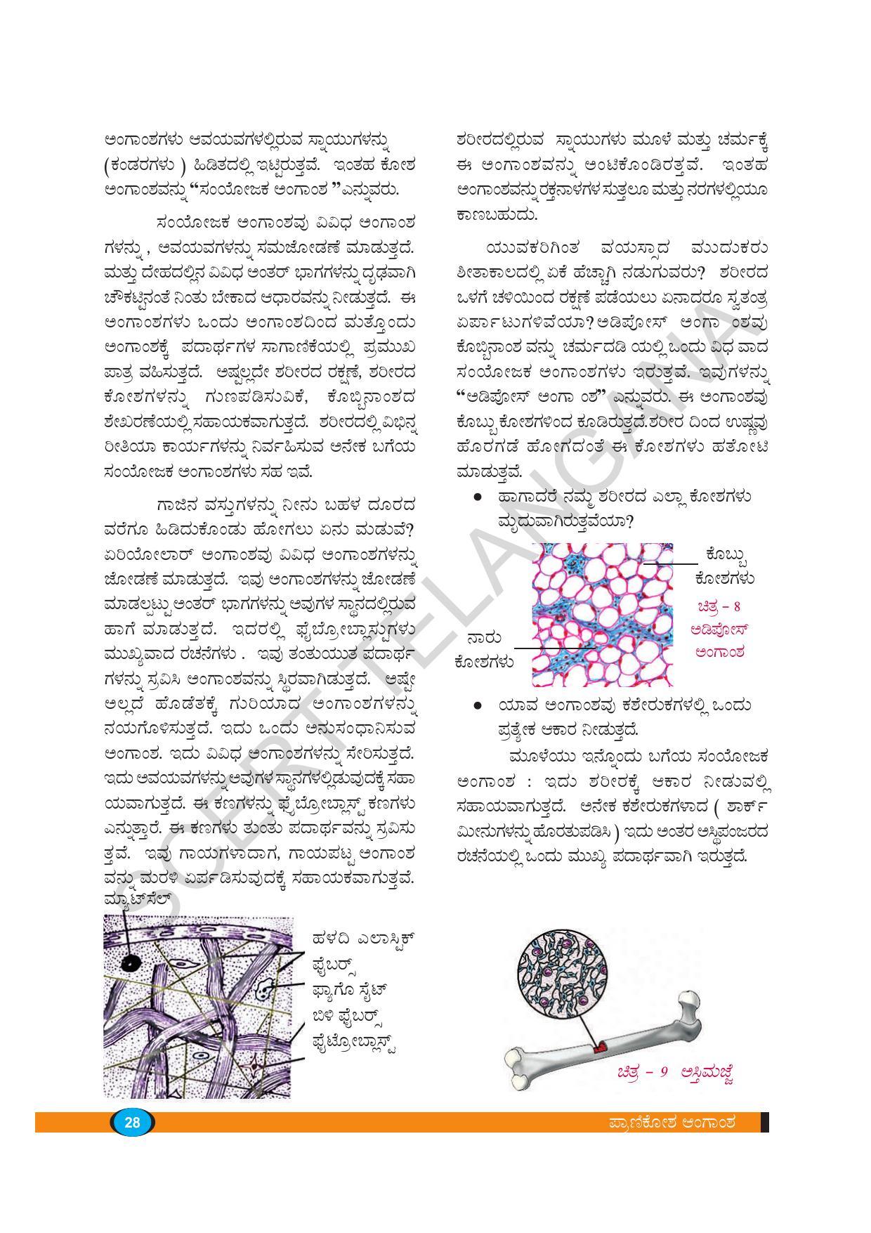 TS SCERT Class 9 Biological Science(Kannada Medium) Text Book - Page 40