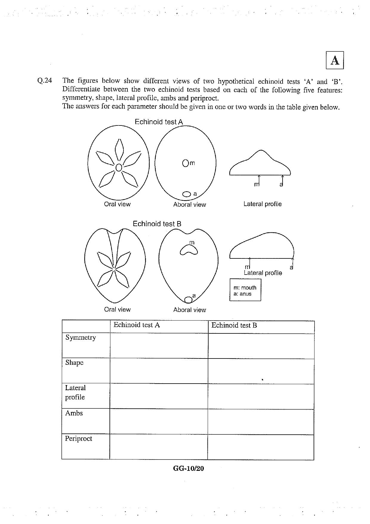 JAM 2013: GG Question Paper - Page 11