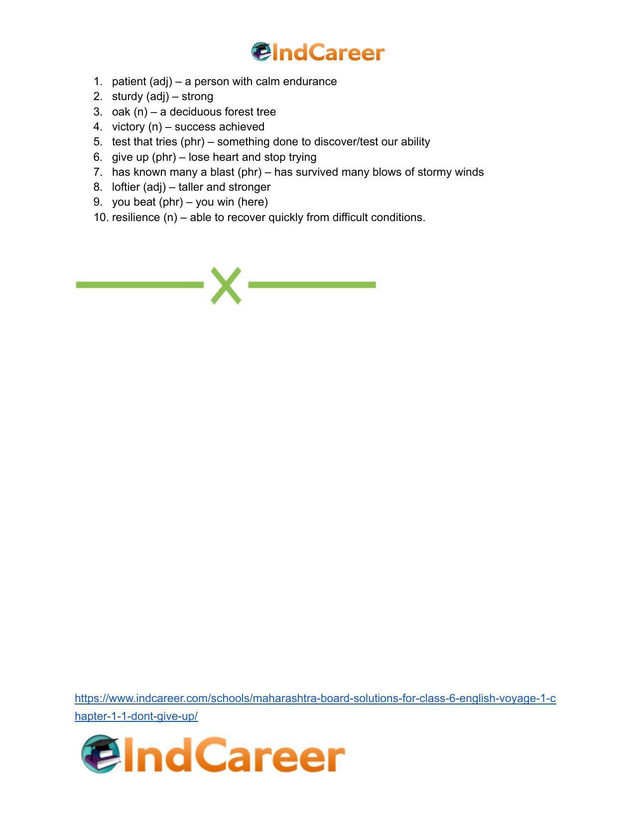 Maharashtra Board Solutions for Class 6- English (Voyage 1): Chapter 1.1- Don’t Give Up! - Page 8