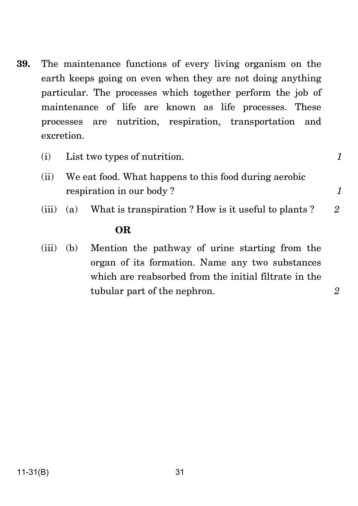 CBSE Class 10 B Science VI 2024 Question Paper - Page 31