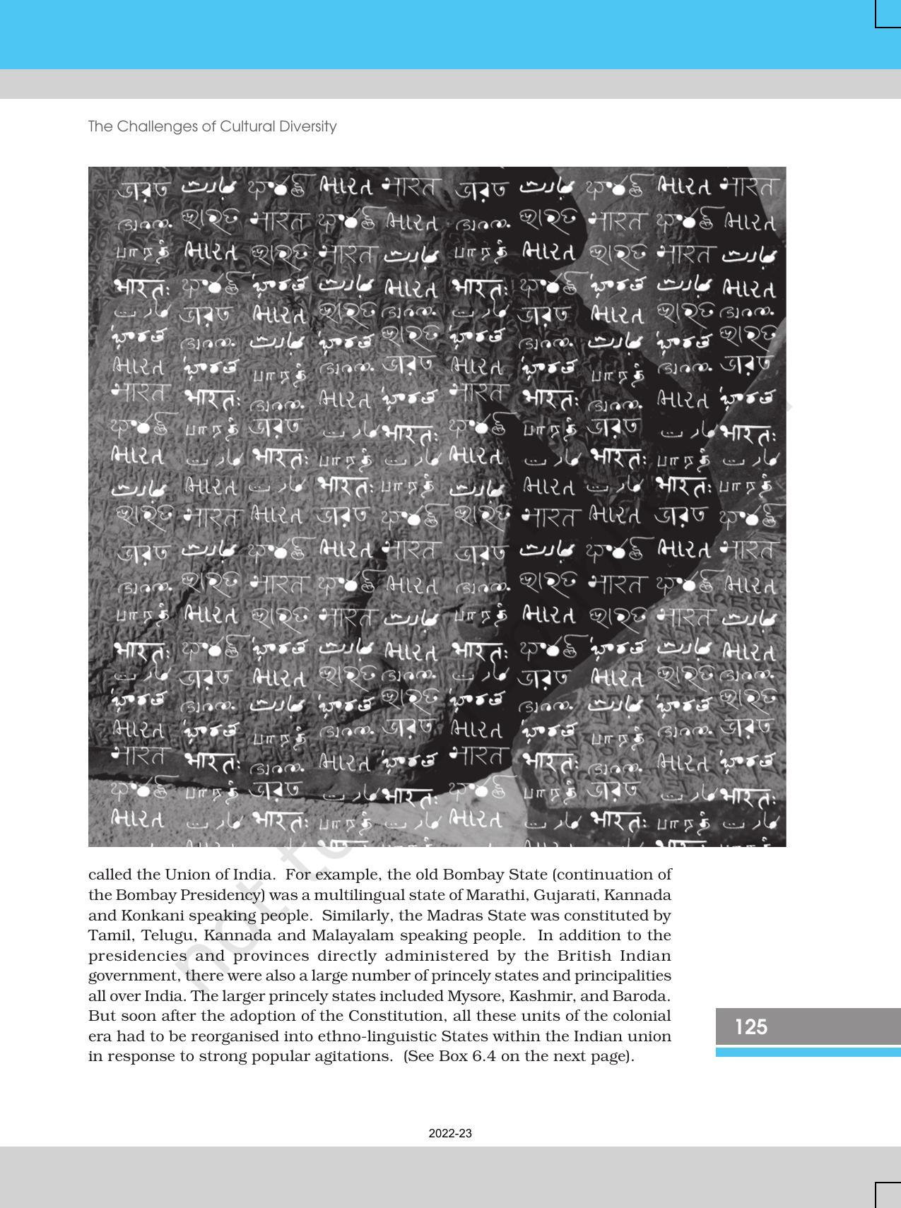 NCERT Book for Class 12 Sociology (Indian Society) Chapter 6 The Challenges of Cultural Diversity - Page 13