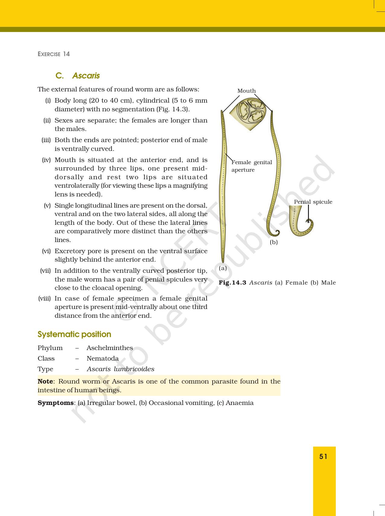 NCERT Laboratory Manuals for Class XII Biology - Exercise 14 - Page 3