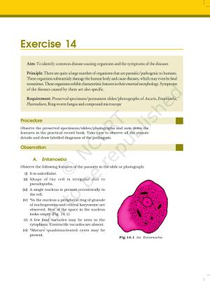 NCERT Laboratory Manuals for Class XII Biology - Exercise 14