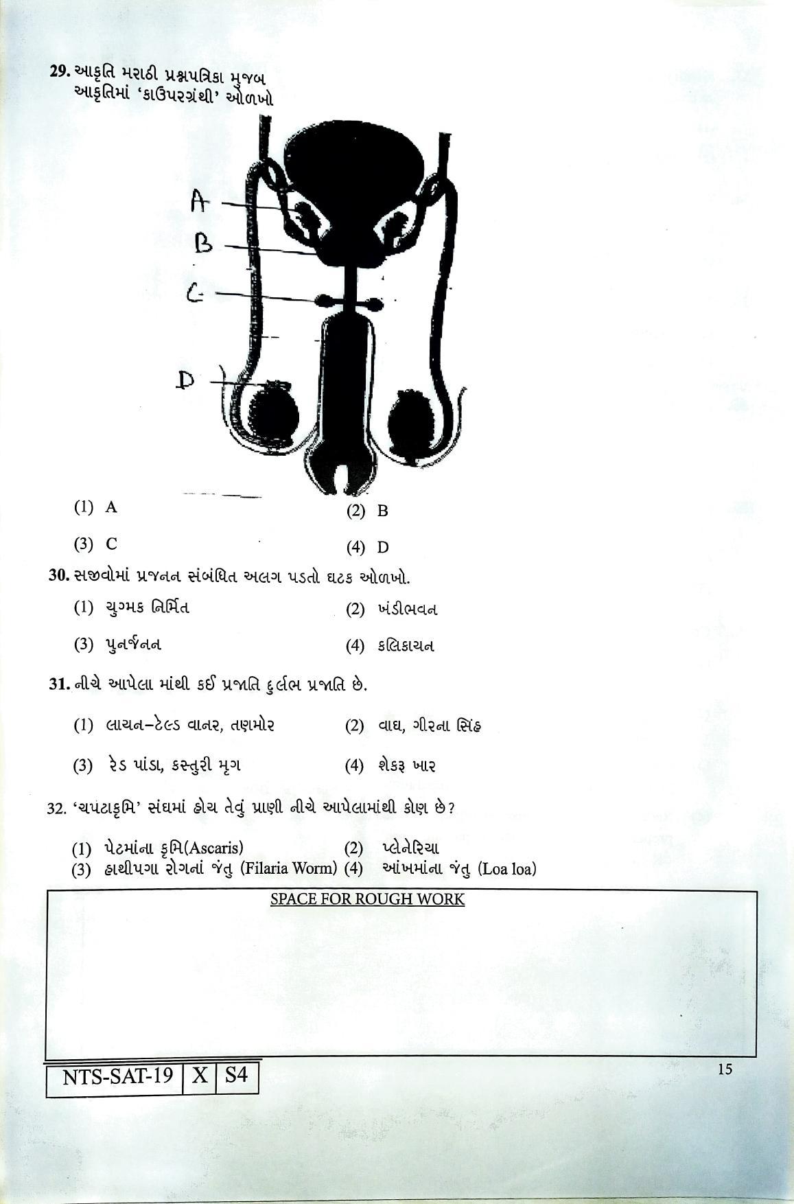 Maharashtra NTSE 2020 SAT (Gujrati) Question Paper - Page 15