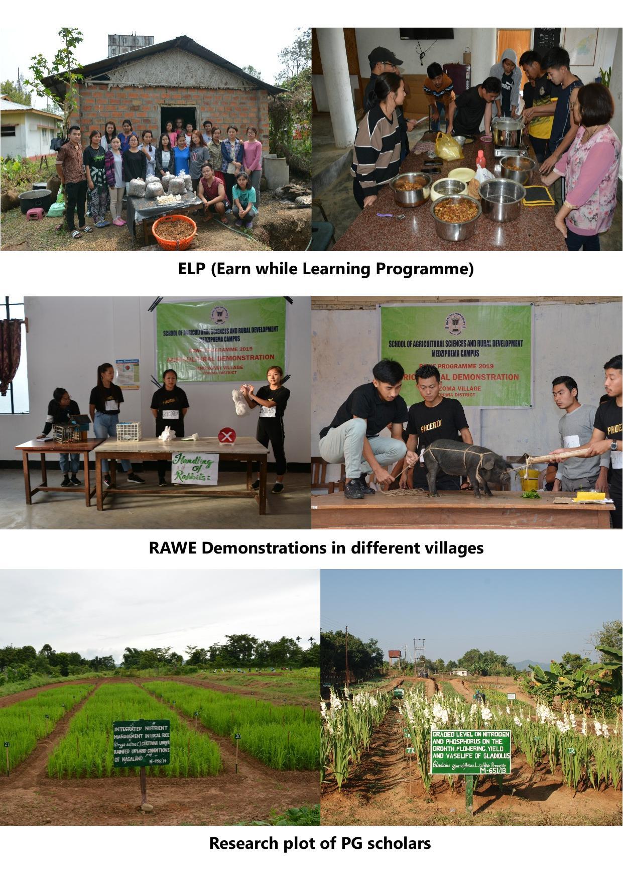 Nagaland University, Kohima SASRD brochure 2021-22 - Page 26