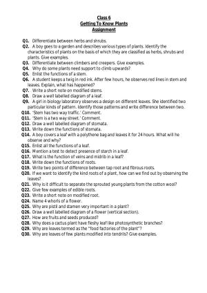 CBSE Worksheets for Class 6 Science Getting to Know Plants Assignment 2
