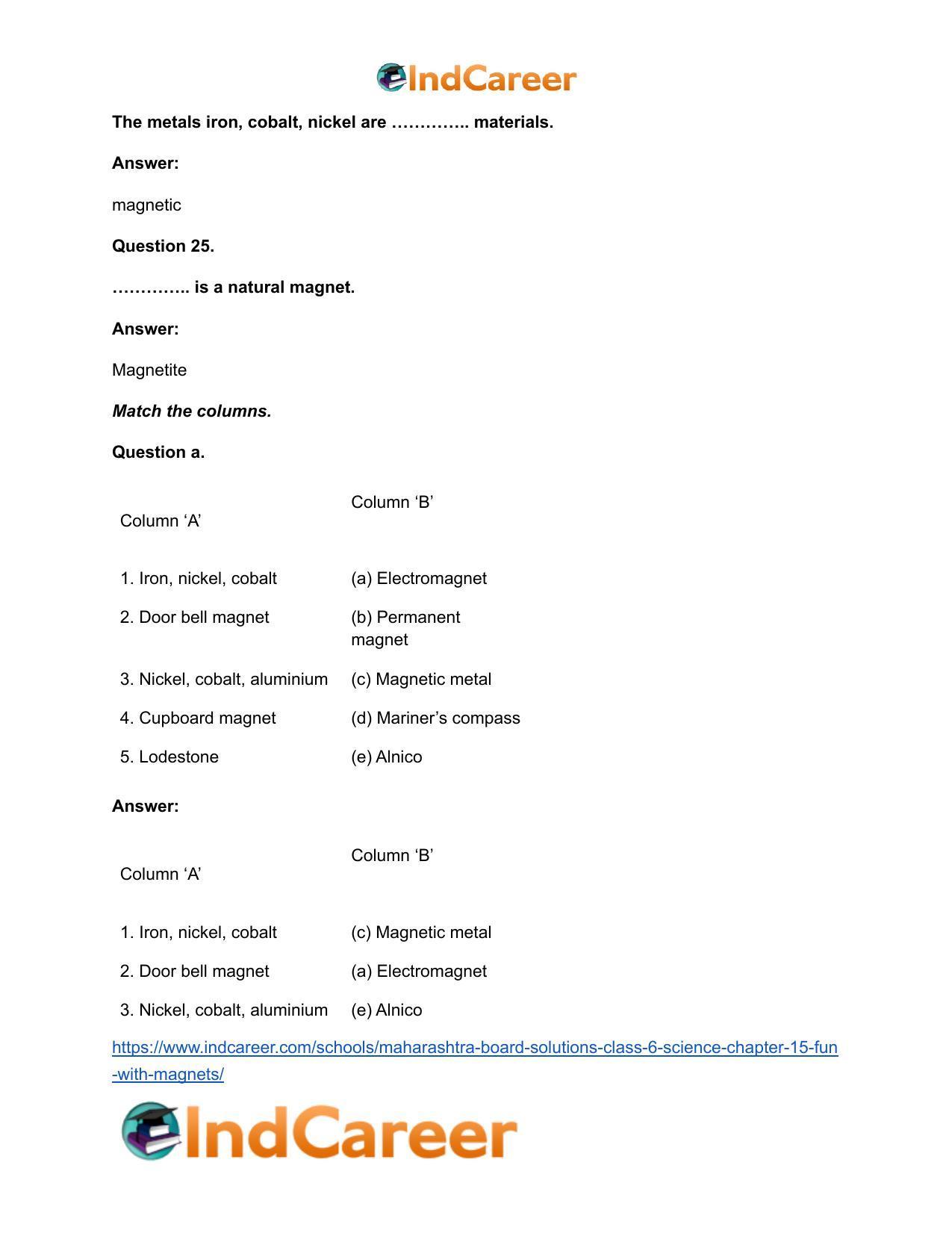 Maharashtra Board Solutions Class 6-Science: Chapter 15- Fun with Magnets - Page 13