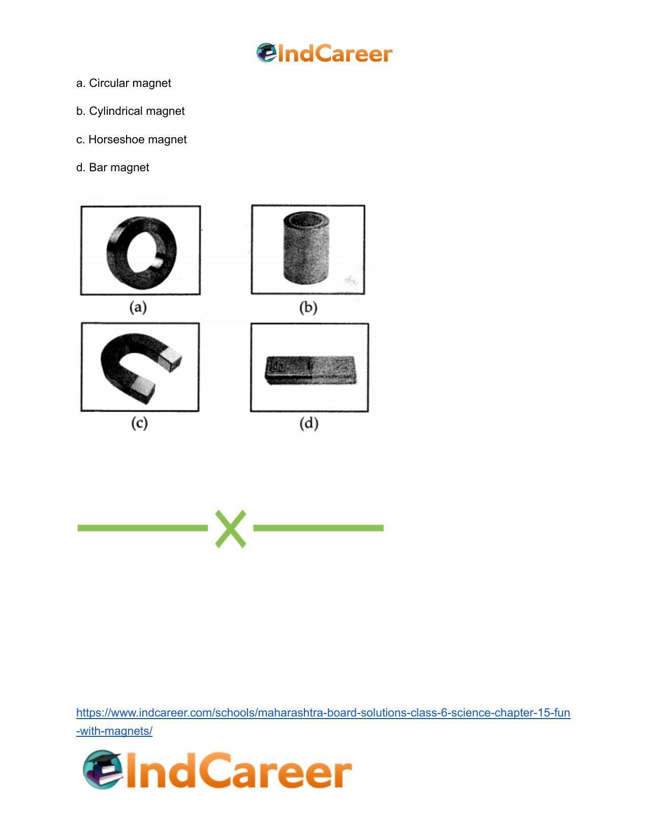 Maharashtra Board Solutions Class 6-Science: Chapter 15- Fun with Magnets - Page 22