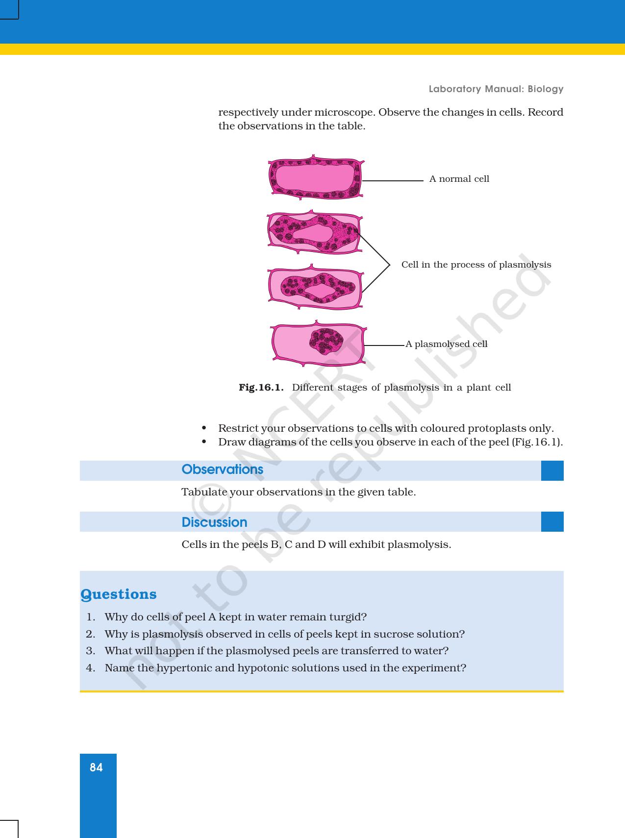 NCERT Laboratory Manuals for Class XI Biology - Exercise 15 - 20 - Page 4