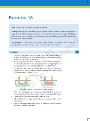 NCERT Laboratory Manuals for Class XI Biology - Exercise 15 - 20