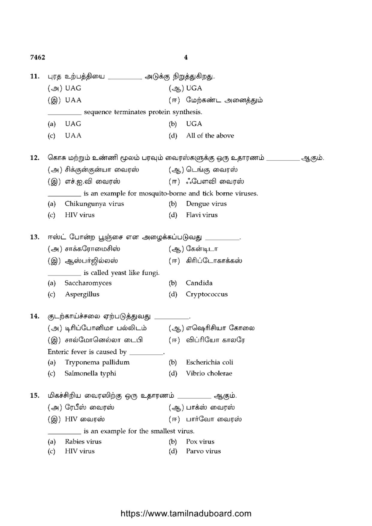 TN Class 12 2024 Microbiology Question Papers - Page 4