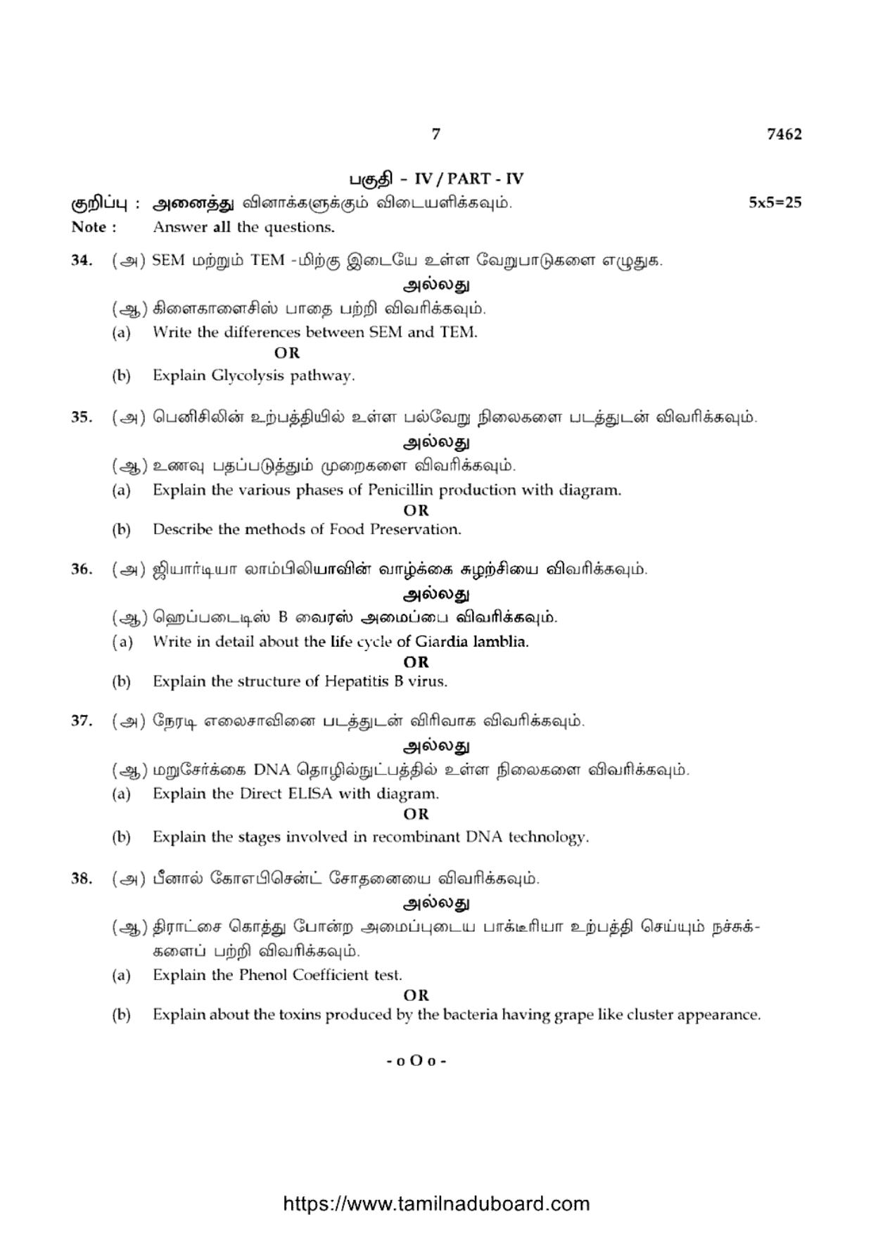 TN Class 12 2024 Microbiology Question Papers - Page 7