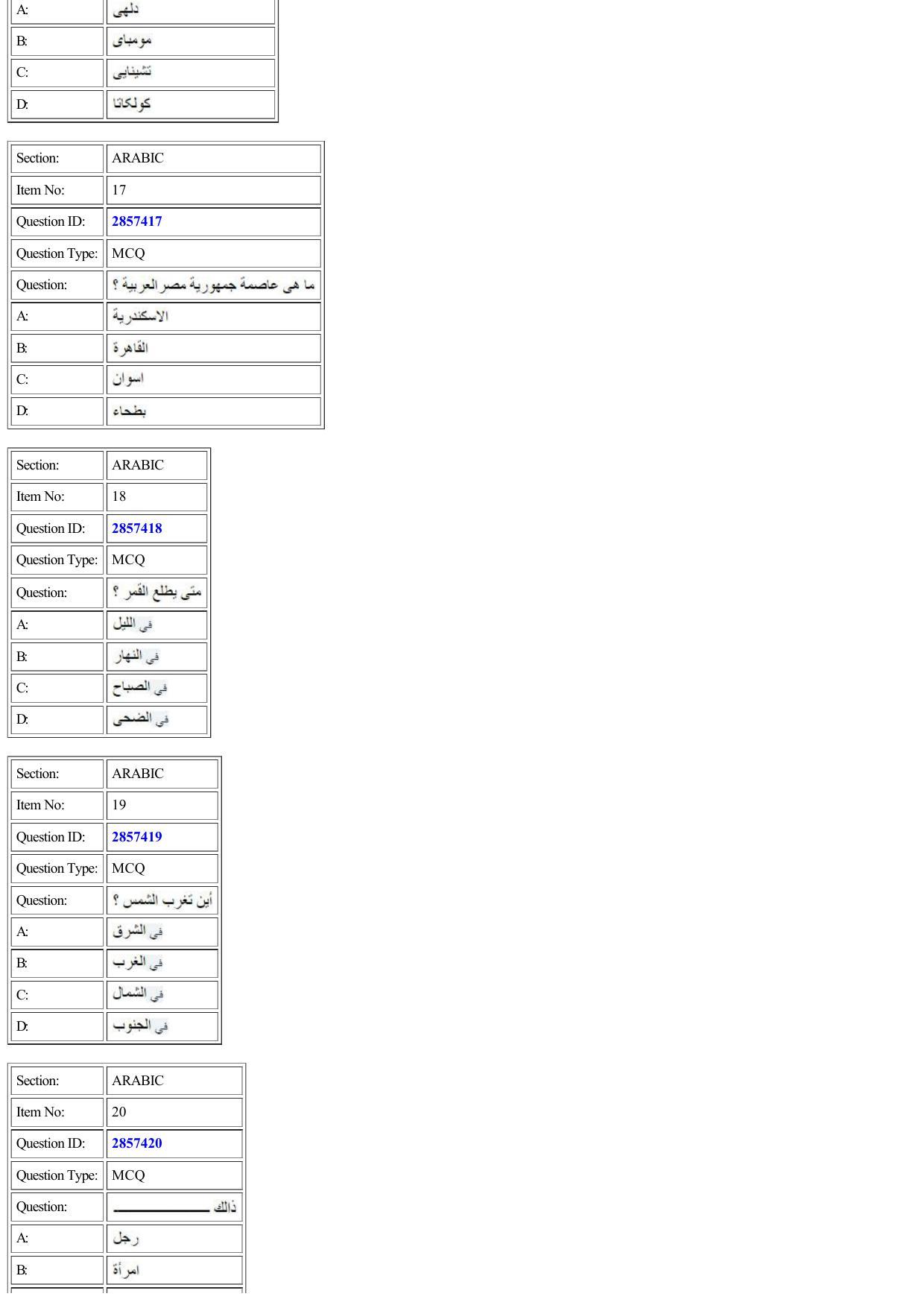 CUET 2022 Question Paper of Arabic - Page 7