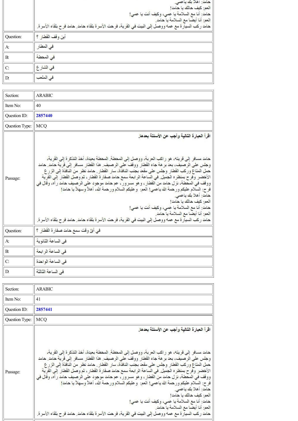 CUET 2022 Question Paper of Arabic - Page 13