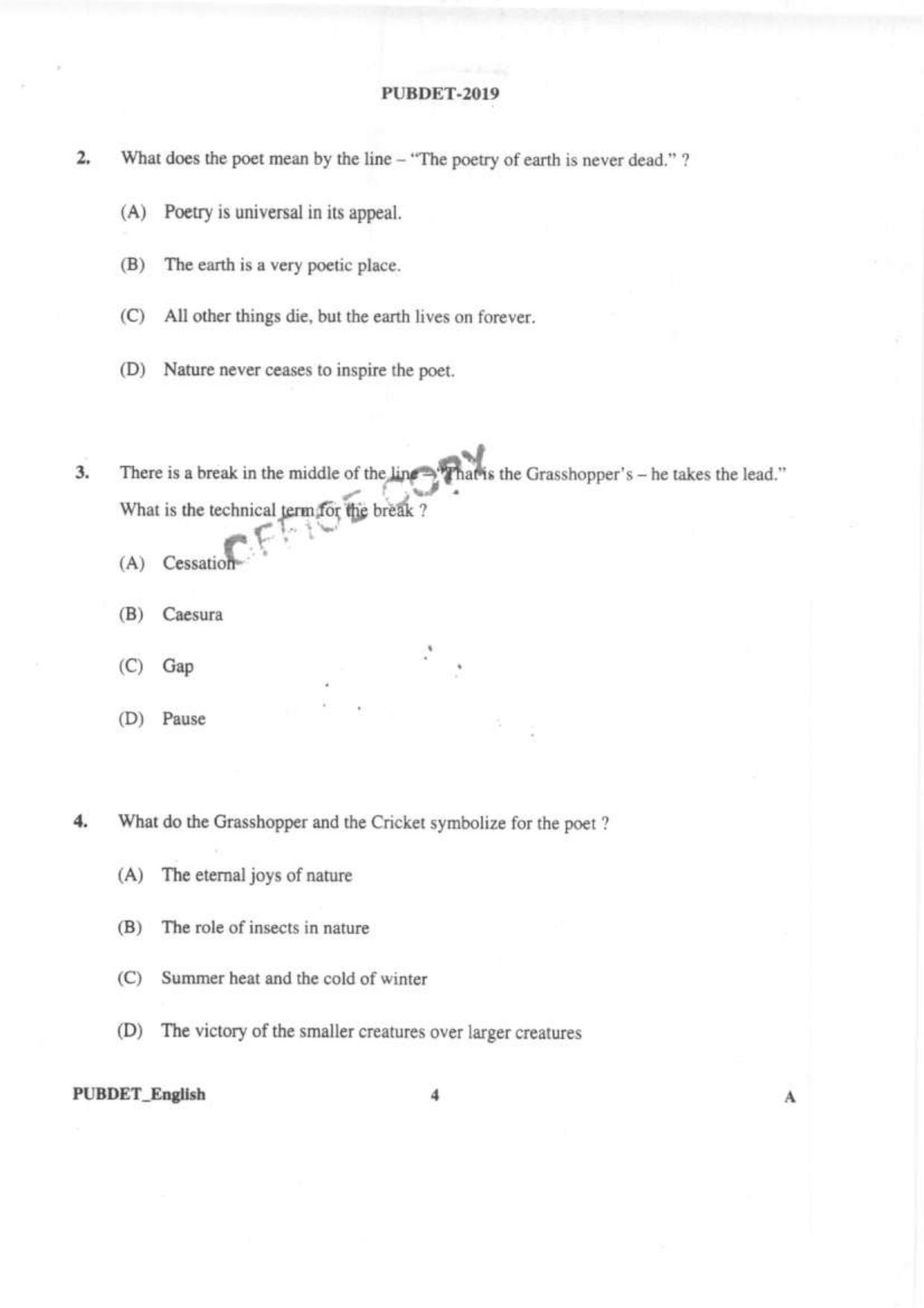 PUBDET 2019 English Question Paper - Page 3
