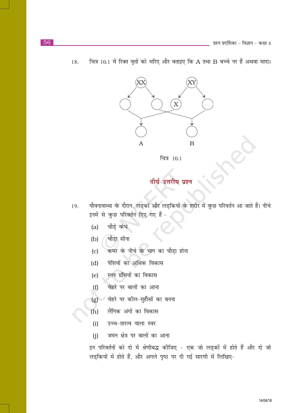 NCERT Exemplar Class 8: विज्ञान यूनिट 10(किशोरावस्था की ओर) - Page 4