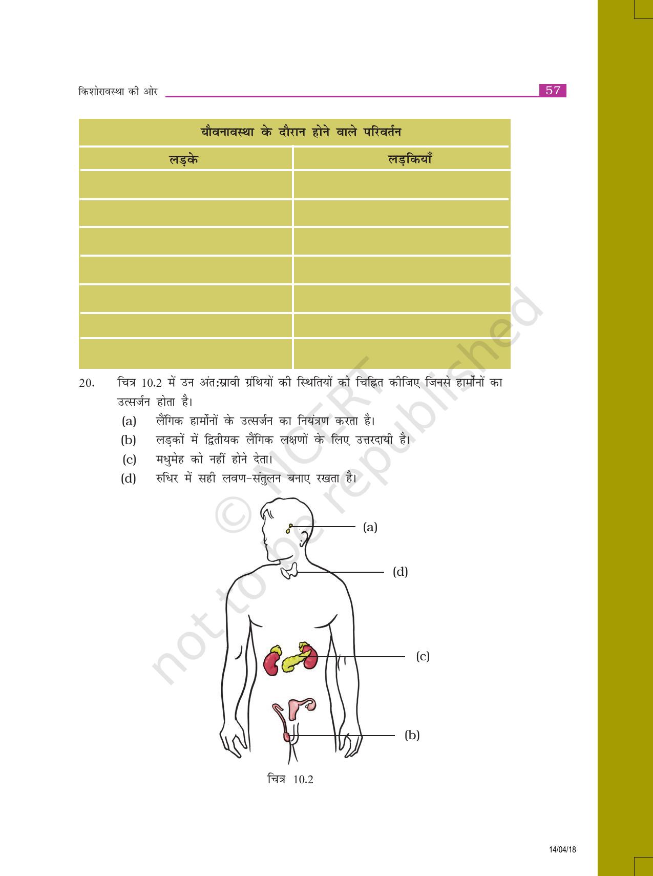 NCERT Exemplar Class 8: विज्ञान यूनिट 10(किशोरावस्था की ओर) - Page 5