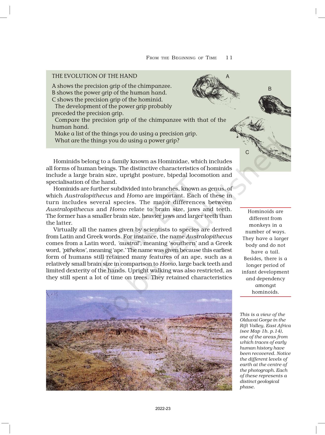 NCERT Book for Class 11 History Chapter 1 From the Beginning of Time - Page 11