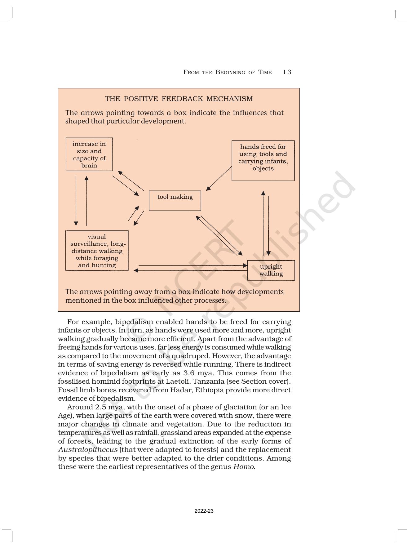 NCERT Book for Class 11 History Chapter 1 From the Beginning of Time - Page 13