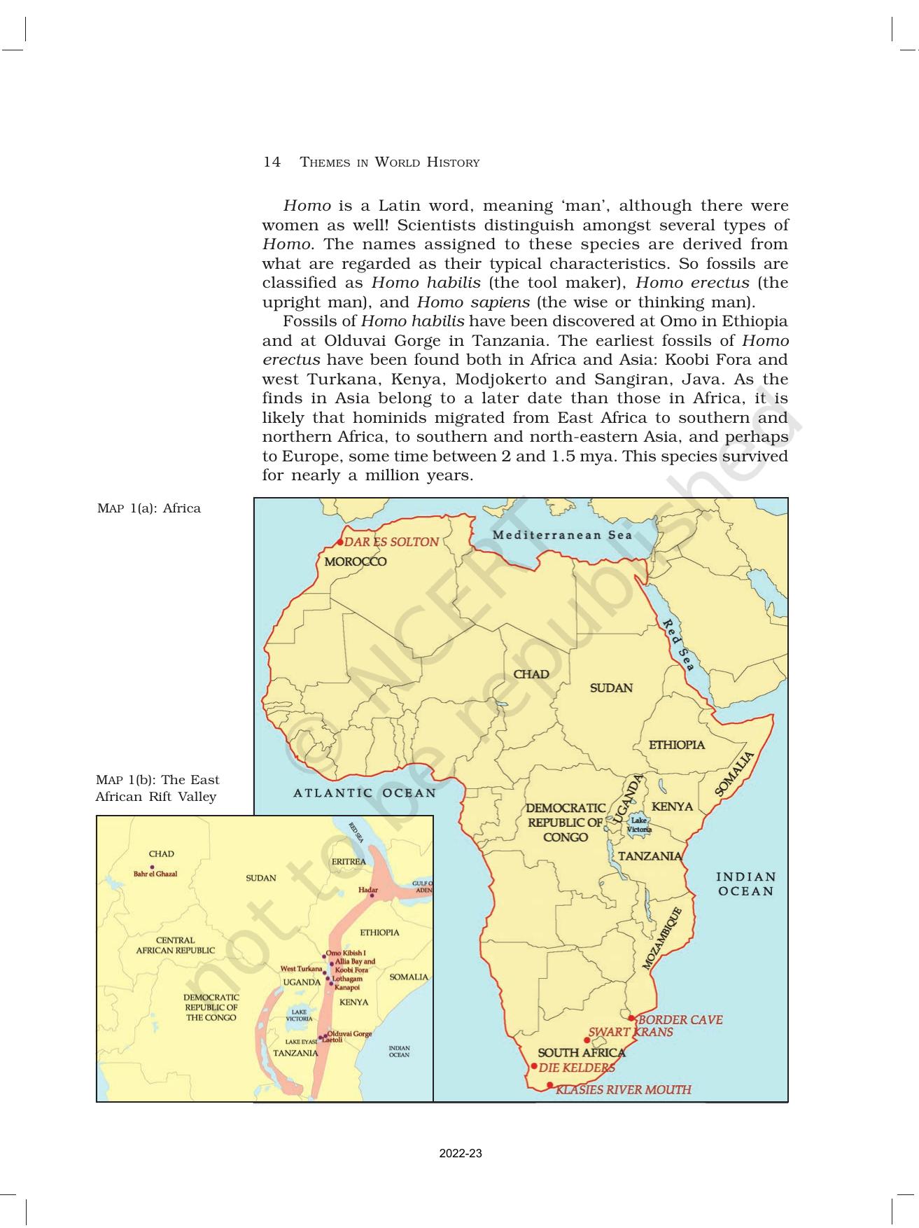 NCERT Book for Class 11 History Chapter 1 From the Beginning of Time - Page 14