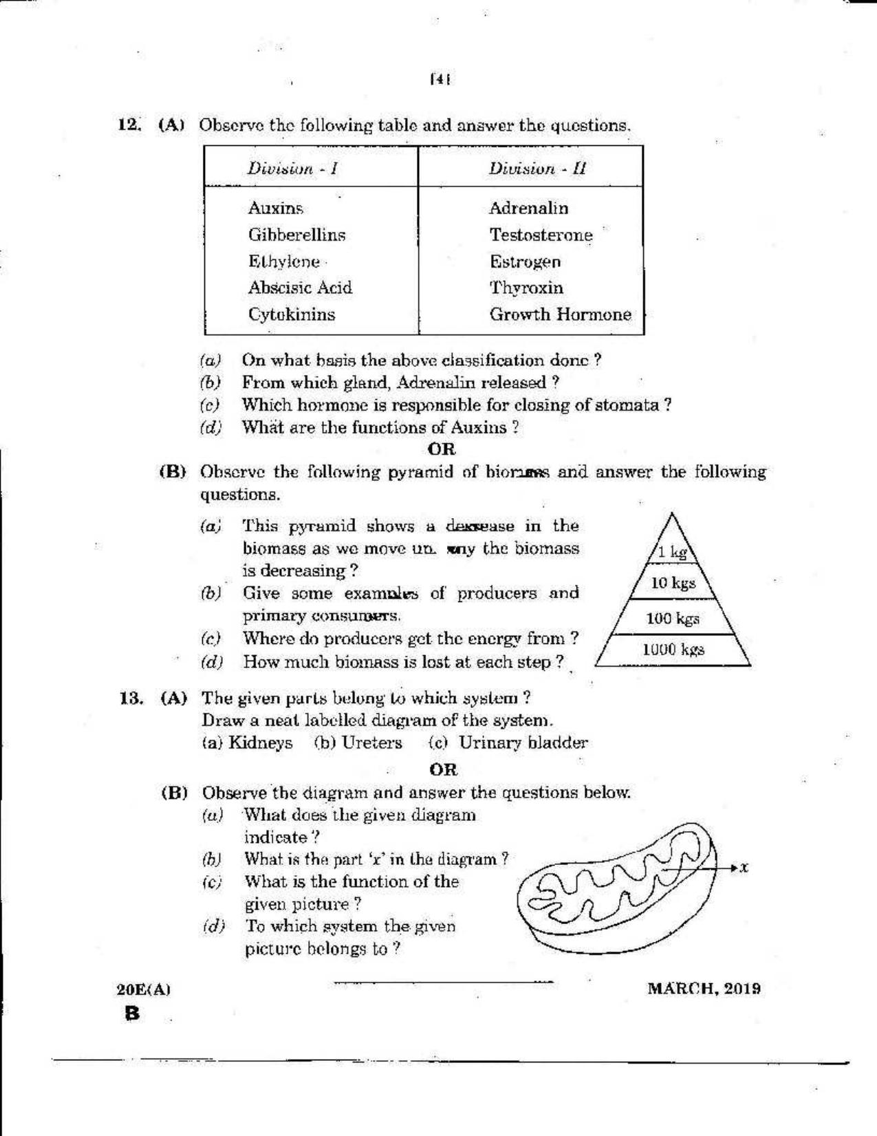 AP Class 10 Science (Paper II) 2019 Question Paper - Page 4
