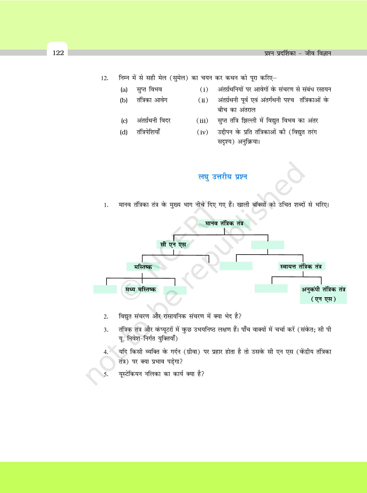 NCERT Exemplar Class 11: जीवविज्ञान अध्याय 21 (तंत्रकीय नियंत्रण एवं समन्वय ) - Page 4