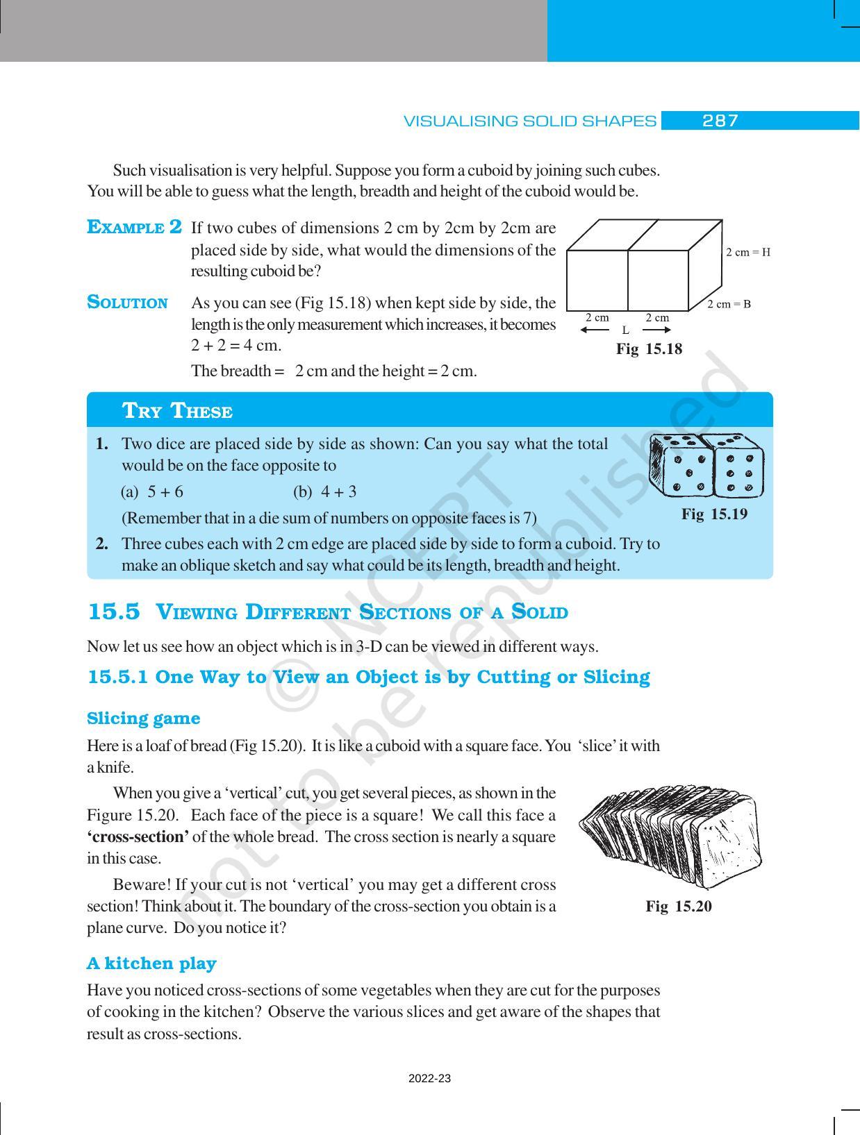 NCERT Book for Class 7 Maths: Chapter 15-Visualising Solid Shapes - Page 11
