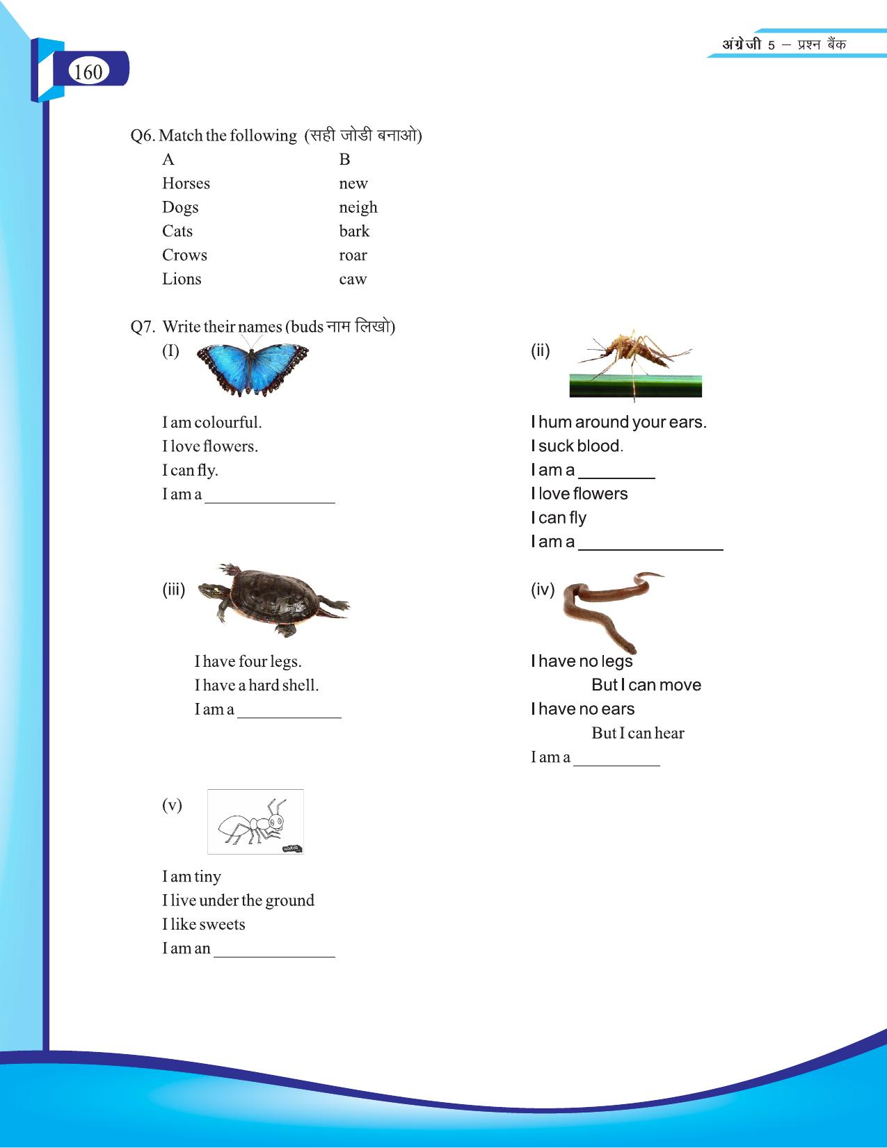 Chhattisgarh Board Class 5 English Question Bank 2015-16 - Page 36