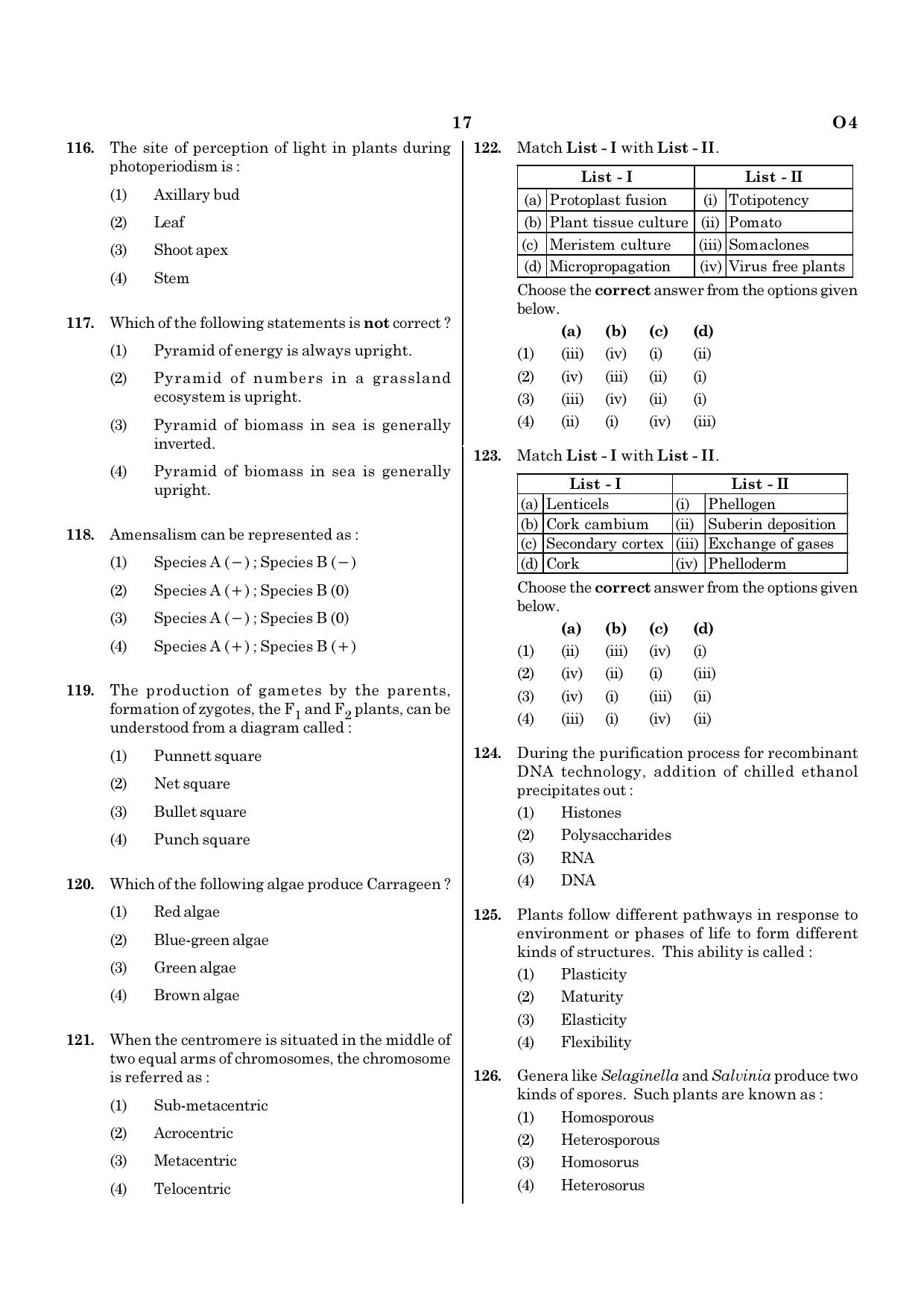 NEET O4 2021 Question Paper - Page 17