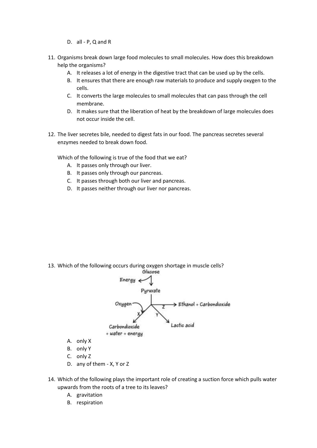CBSE Class 10 Science Practice Questions 2021-22 - Page 3