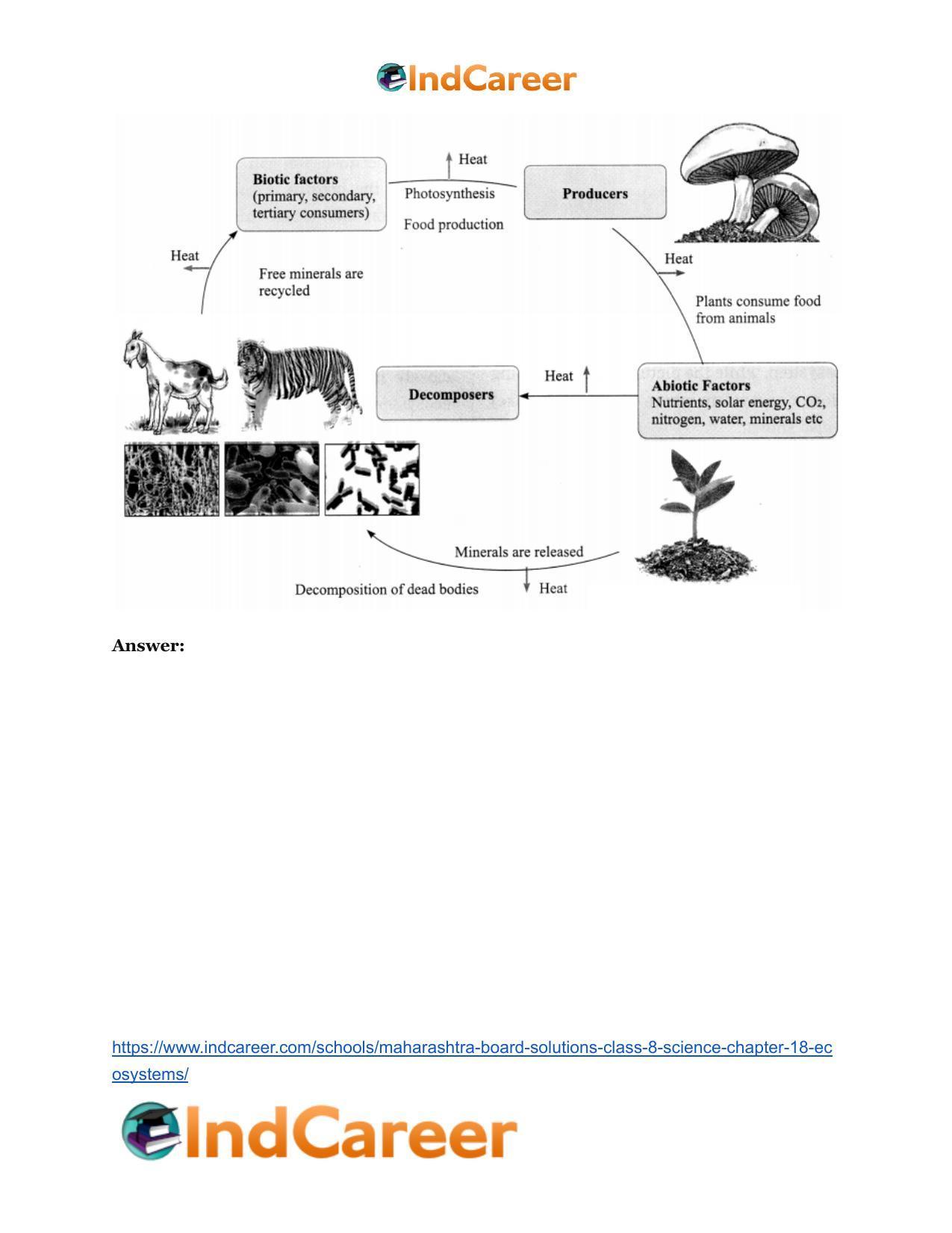 Maharashtra Board Solutions Class 8-Science: Chapter 18- Ecosystems - Page 25
