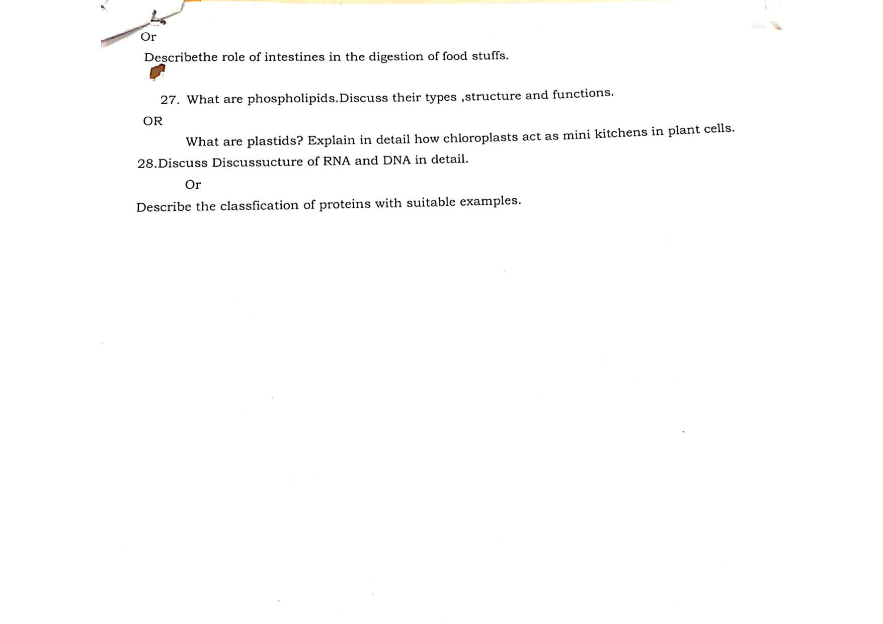 JKBOSE Class 11 Bio Chemistry Model Question Paper - Page 2