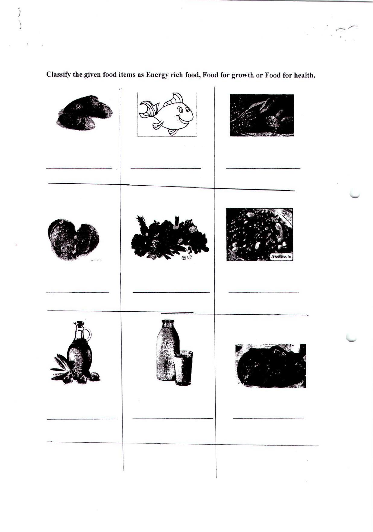 Worksheet for Class 4 Science Food Assignment 3 - Page 2