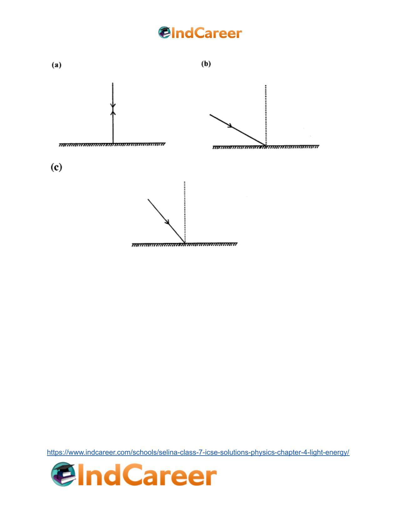 Selina Class 7 ICSE Solutions Physics : Chapter 4- Light Energy - Page 13