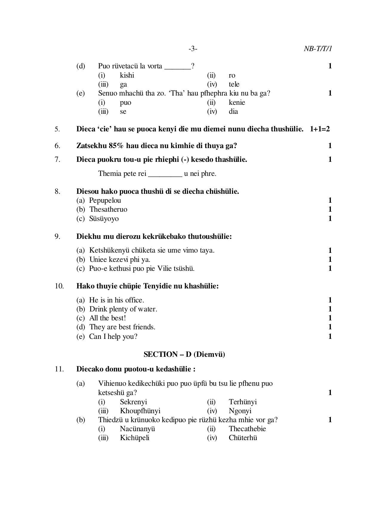 Nagaland Board Class 10 TENYIDIE 2020 Question Paper - Page 3