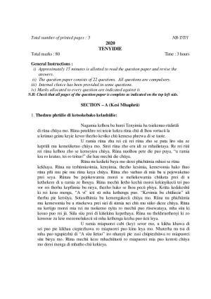 Nagaland Board Class 10 TENYIDIE 2020 Question Paper