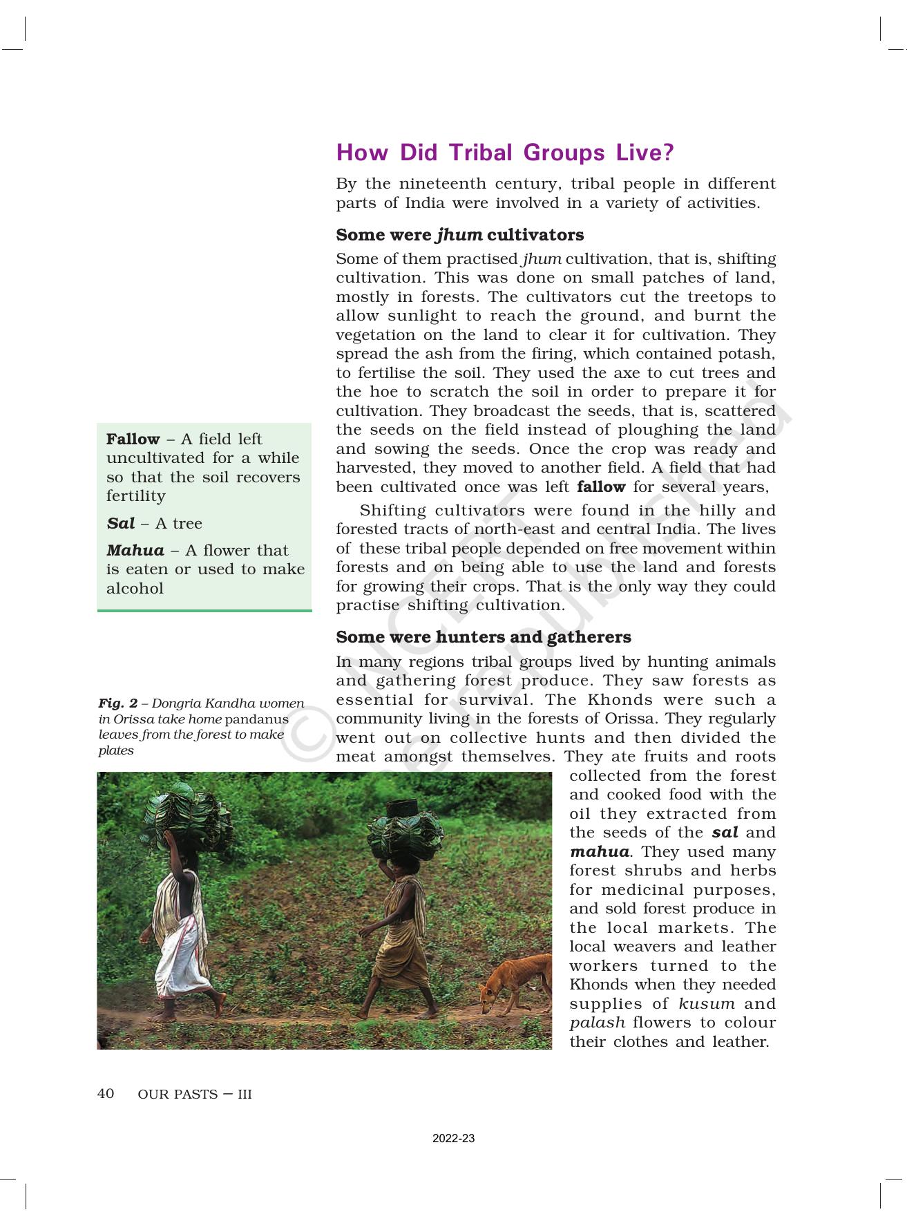 NCERT Book for Class 8 History Chapter 4 Tribals, Dikus and the Vision of a Golden Age - Page 2