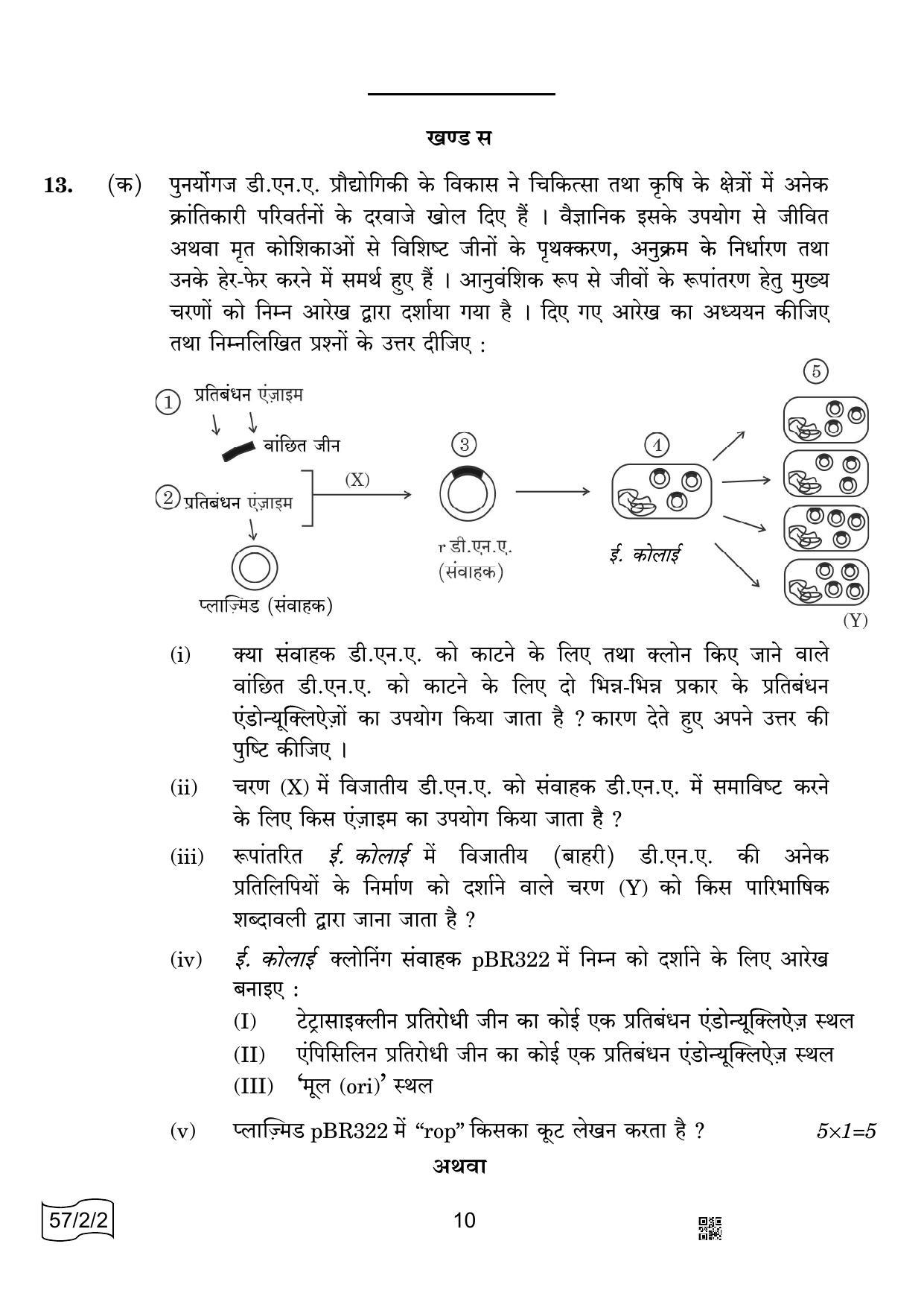 CBSE Class 12 57-2-2 Biology 2022 Question Paper - Page 10