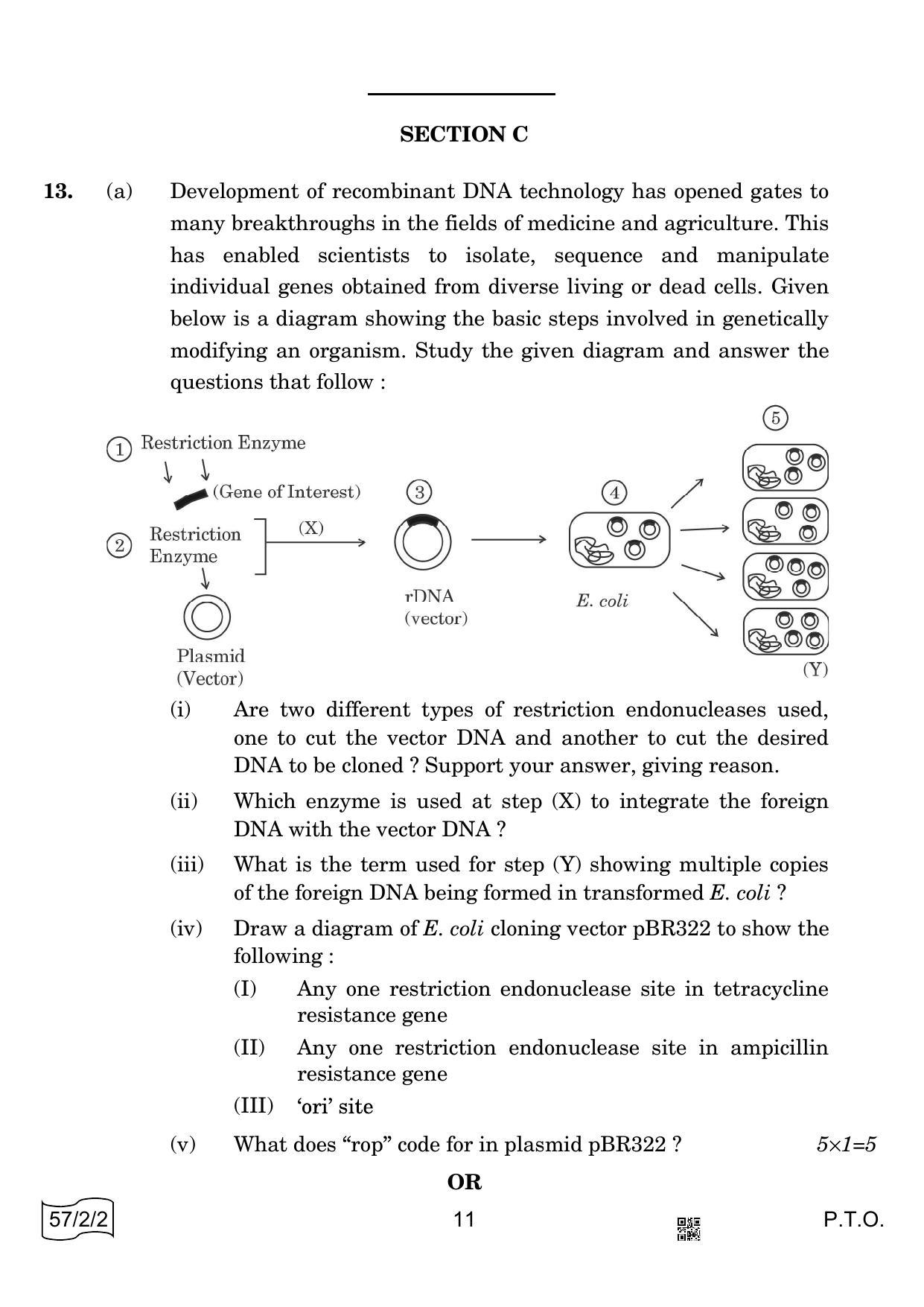CBSE Class 12 57-2-2 Biology 2022 Question Paper - Page 11