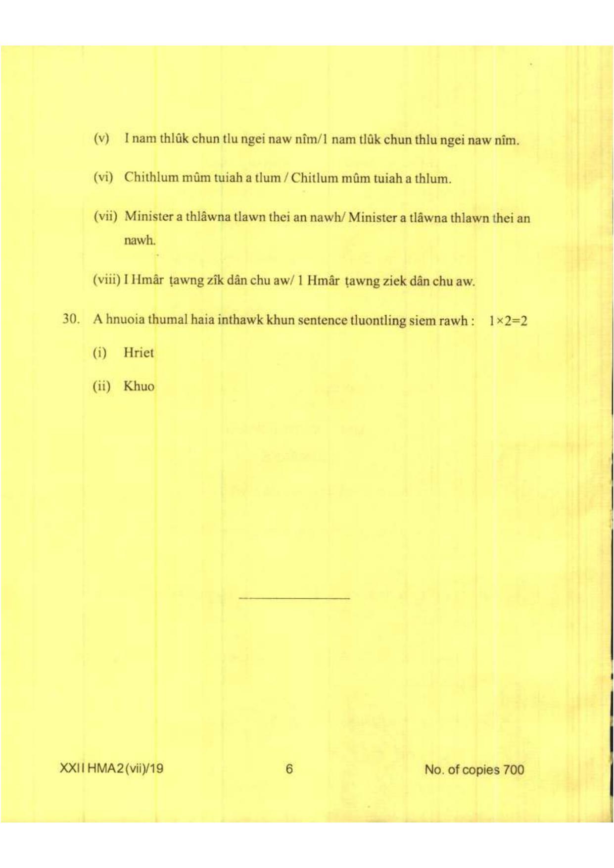 COHSEM Class 12	Hmar (M.I.L.) 2019 Question Papers - Page 6